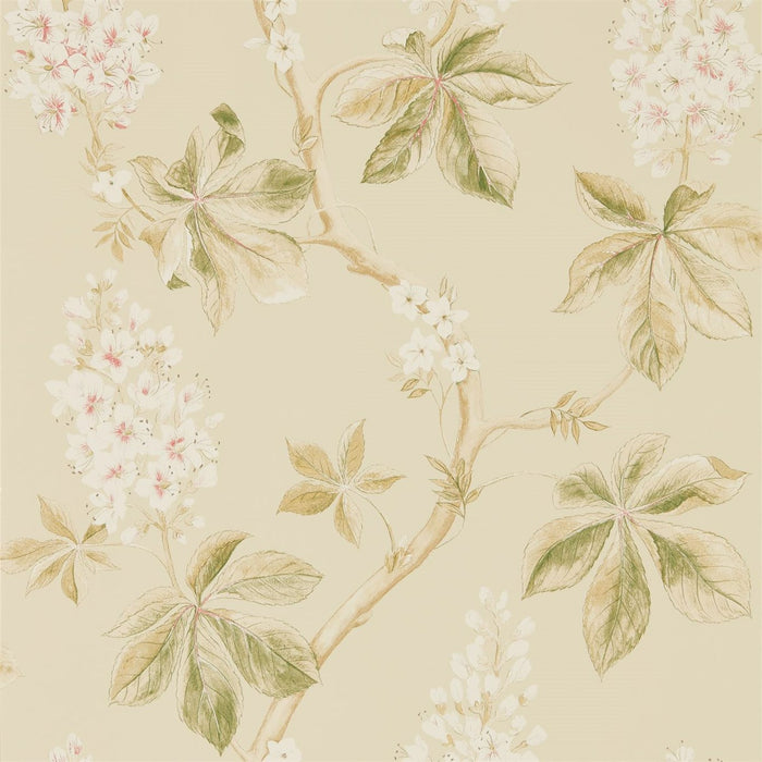 Chestnut Tree Coral/Bayleaf Wallpaper