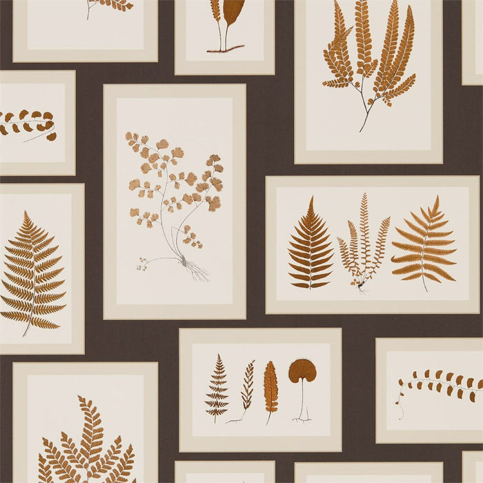 Fern Gallery Charcoal/Spice Wallpaper