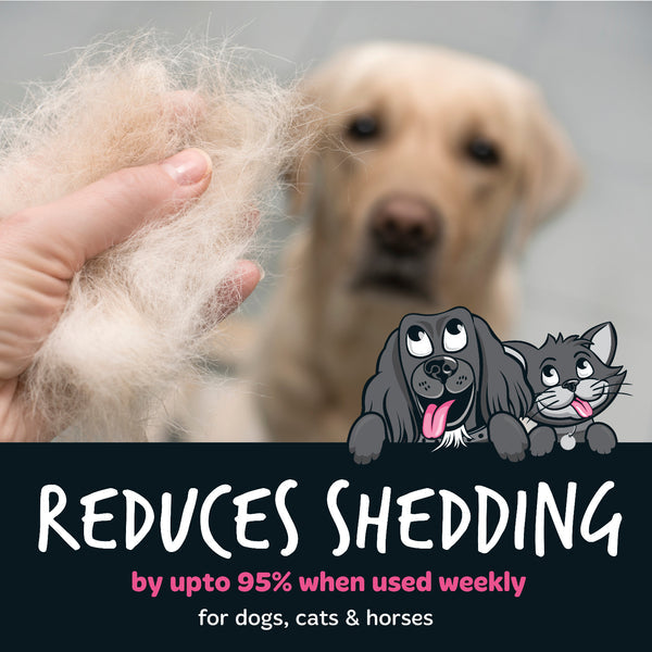 Bugalugs Deshedding Brush in Black for Dogs, Cats, Horses & Other Pets