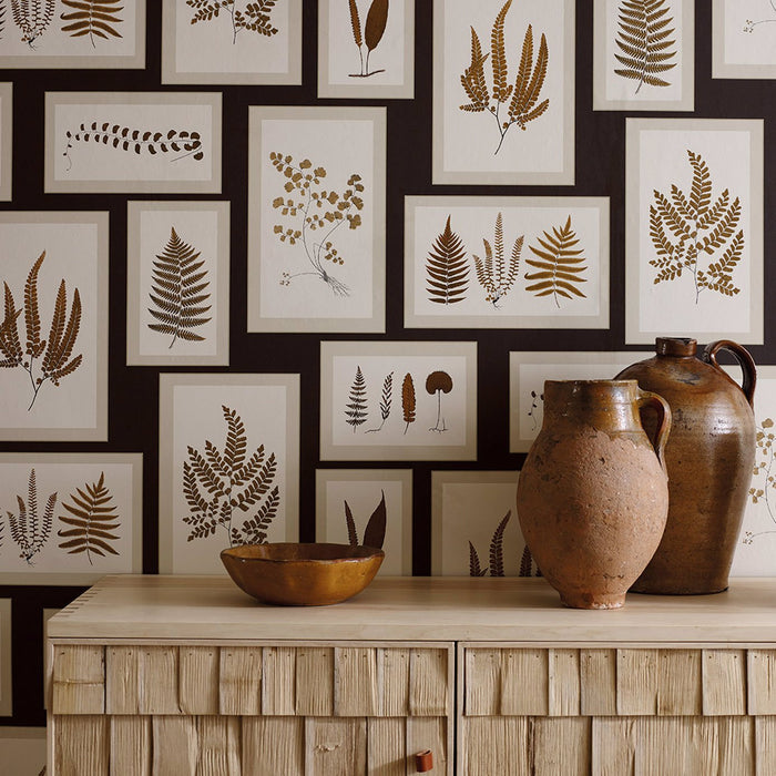 Fern Gallery Charcoal/Spice Wallpaper