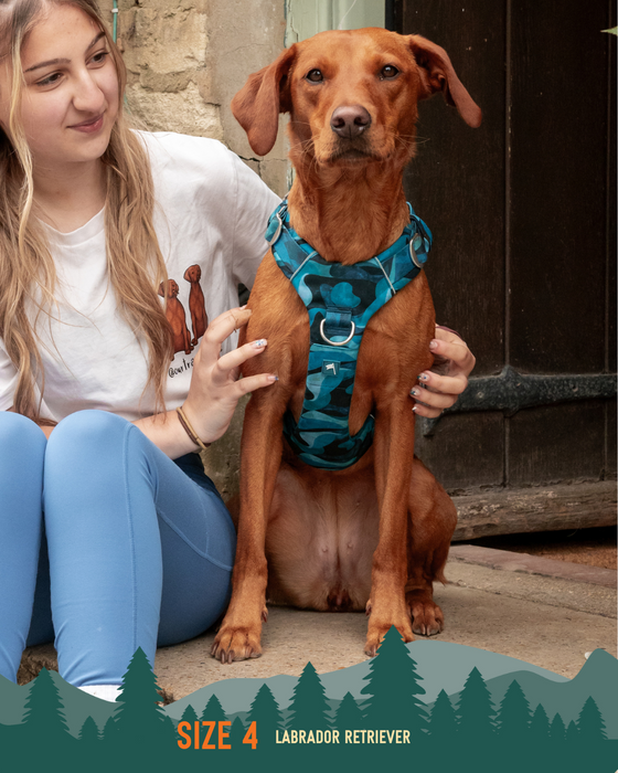 Twiggy Tags Adventure Harness Lagoon