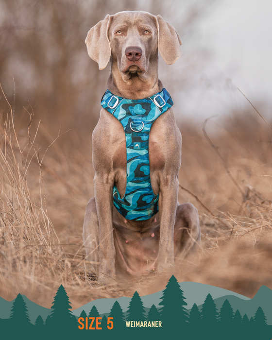 Twiggy Tags Adventure Harness Lagoon