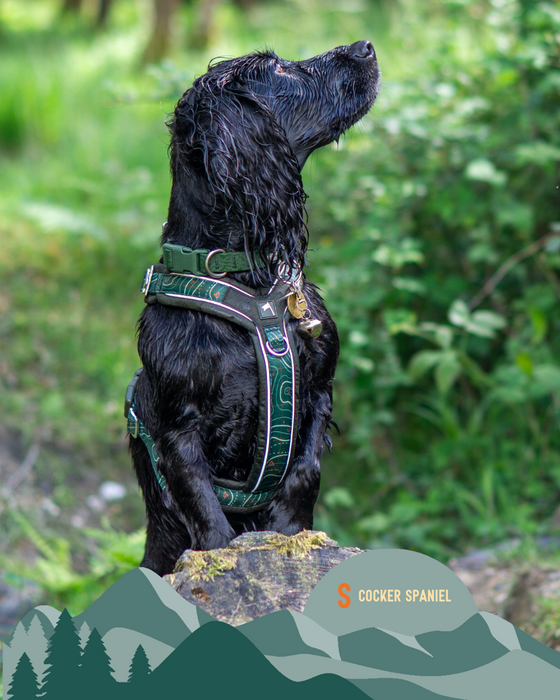 Twiggy Tags Apex Harness Nomad