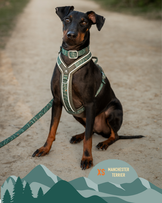 Twiggy Tags Apex Harness Nomad