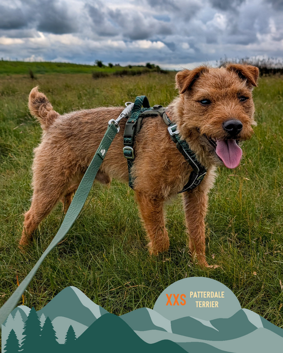 Twiggy Tags Apex Harness Nomad