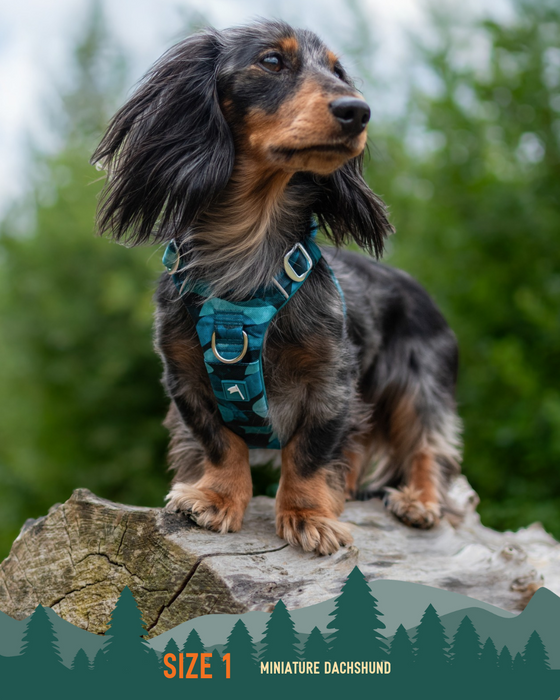 Twiggy Tags Adventure Harness Lagoon