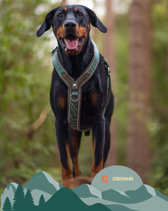 Twiggy Tags Apex Harness Nomad