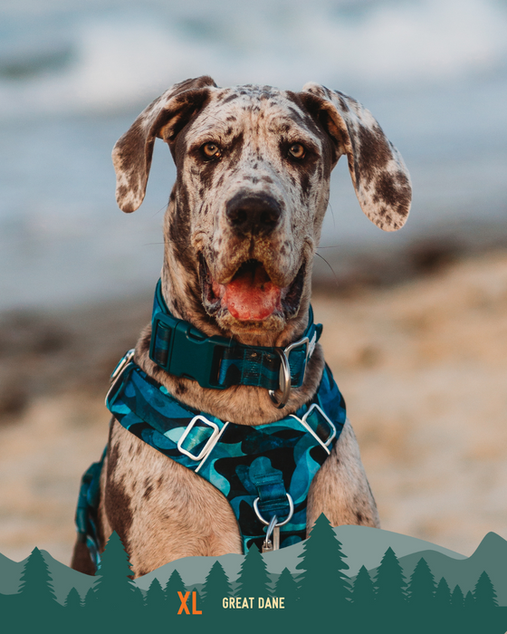 Twiggy Tags Comfort Collar Lagoon