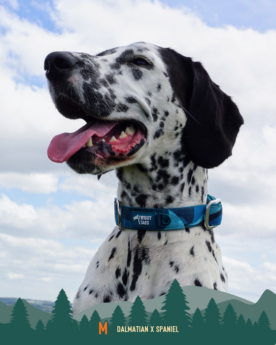 Twiggy Tags Comfort Collar Lagoon