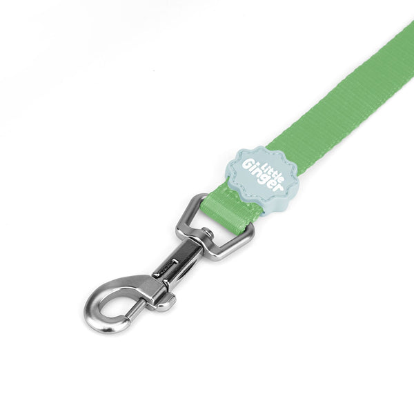 Little Ginger Two Tone Lead 120cm