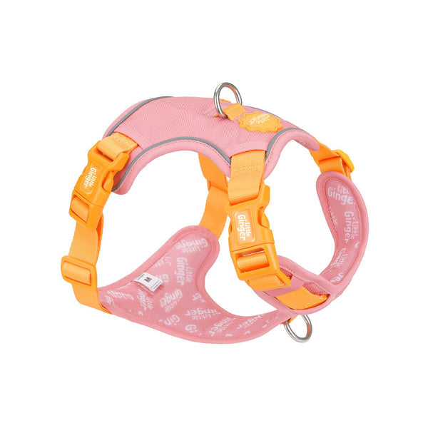Little Ginger Control Harness