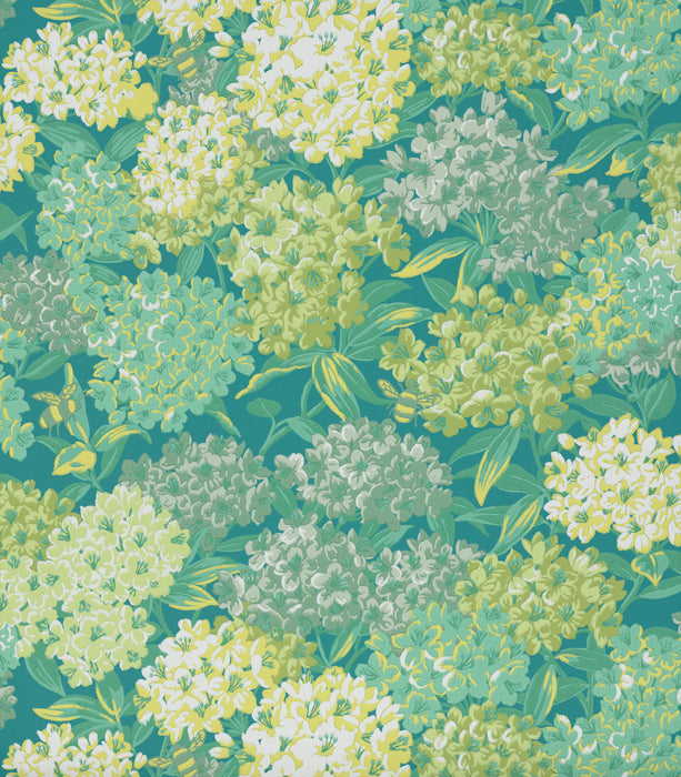 Little Greene Rhododendron Walk Canton