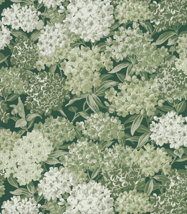 Little Greene Rhododendron Walk Puck