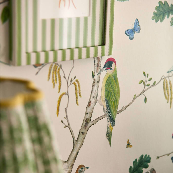 Sanderson Woodland Chorus Botanical/Multi Wallpaper