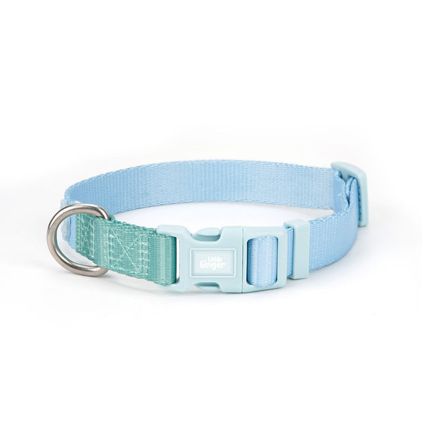 Little Ginger Two Tone Collar Spearmint