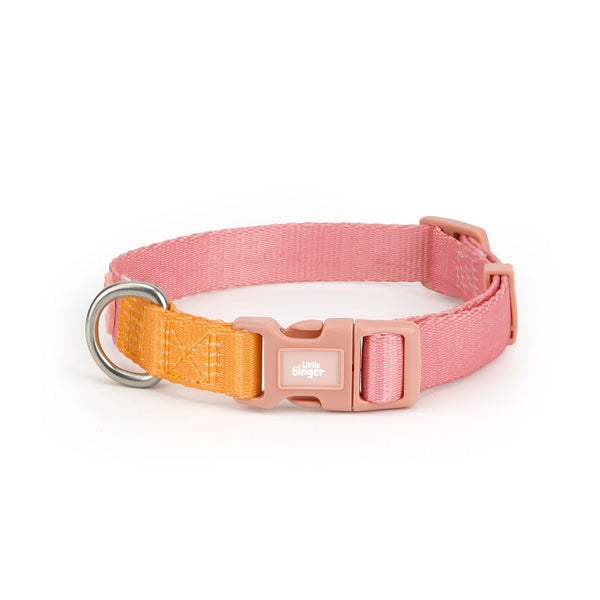 Little Ginger Two Tone Collar Tutti-Fruity