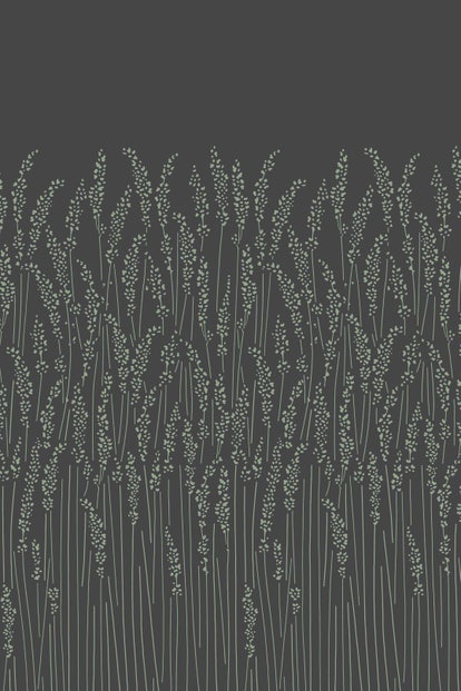 Farrow & Ball Wallpaper Feather Grass BP5106 Black