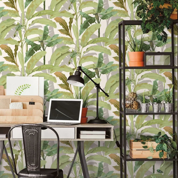 Galerie Banana Palm Wallpaper Green 18541