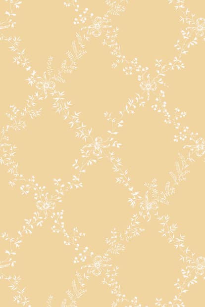 Farrow & Ball Wallpaper Toile Trellis BP644 White/Yellow