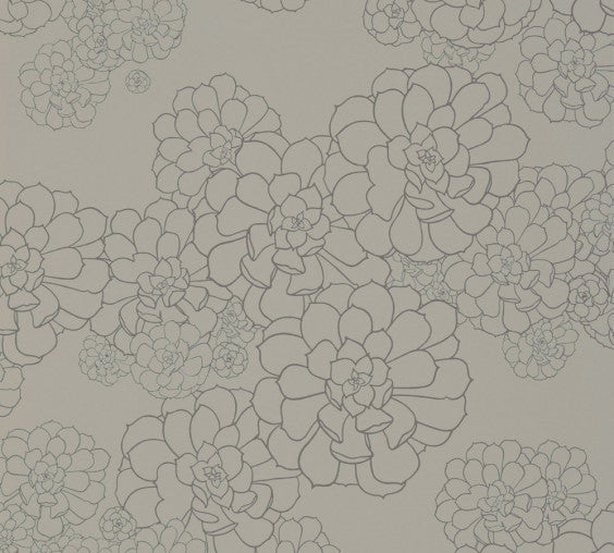 Paint Library Wallpaper Aeonium Cotton
