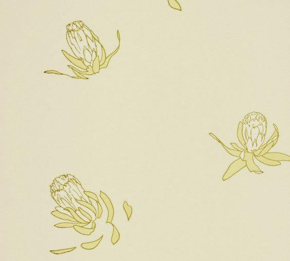 Paint Library Wallpaper Buds Ivory